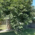Padiz Gasthof 3*