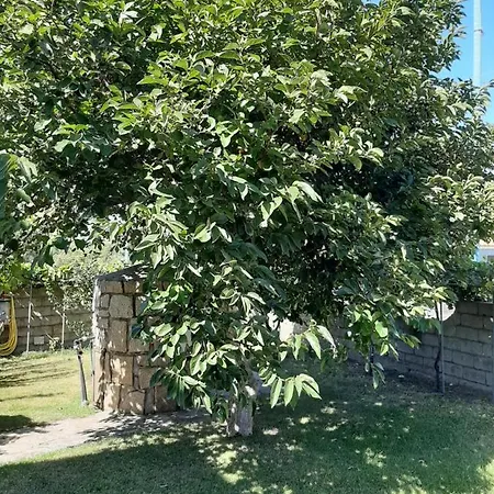 Padiz Guest house *